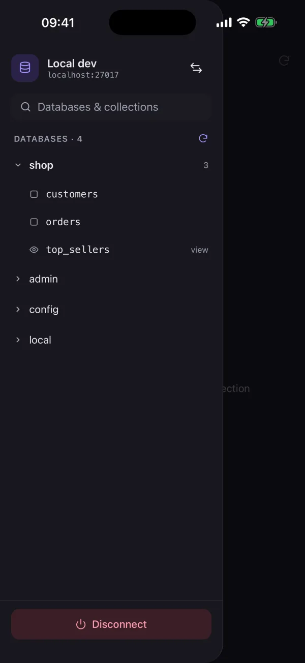 Sidebar listing the databases and collections of a MongoDB connection